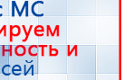 Аппарат магнитотерапии АМТ «Вега Плюс» купить в Арамиле, Аппараты Меркурий купить в Арамиле, Скэнар официальный сайт - denasvertebra.ru